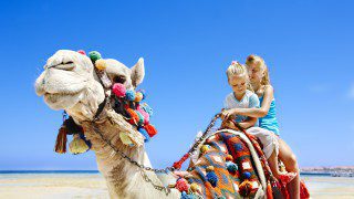 Neckermann Gutschein, Hilton Long Beach Resort,Residence Agyad Maroc
