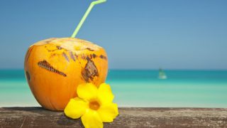 Urlaub Cayo Santa María