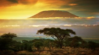 Kenia