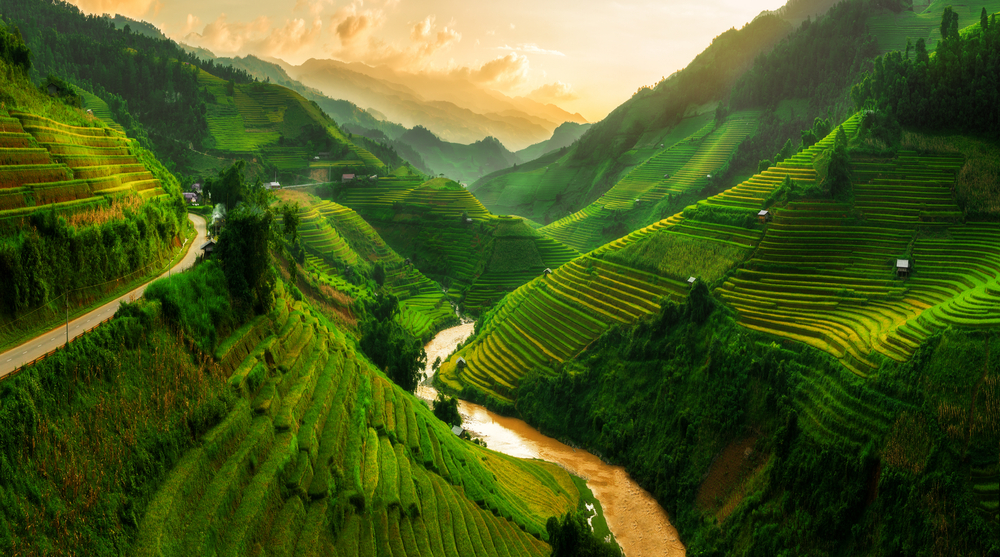 shutterstock_521129761