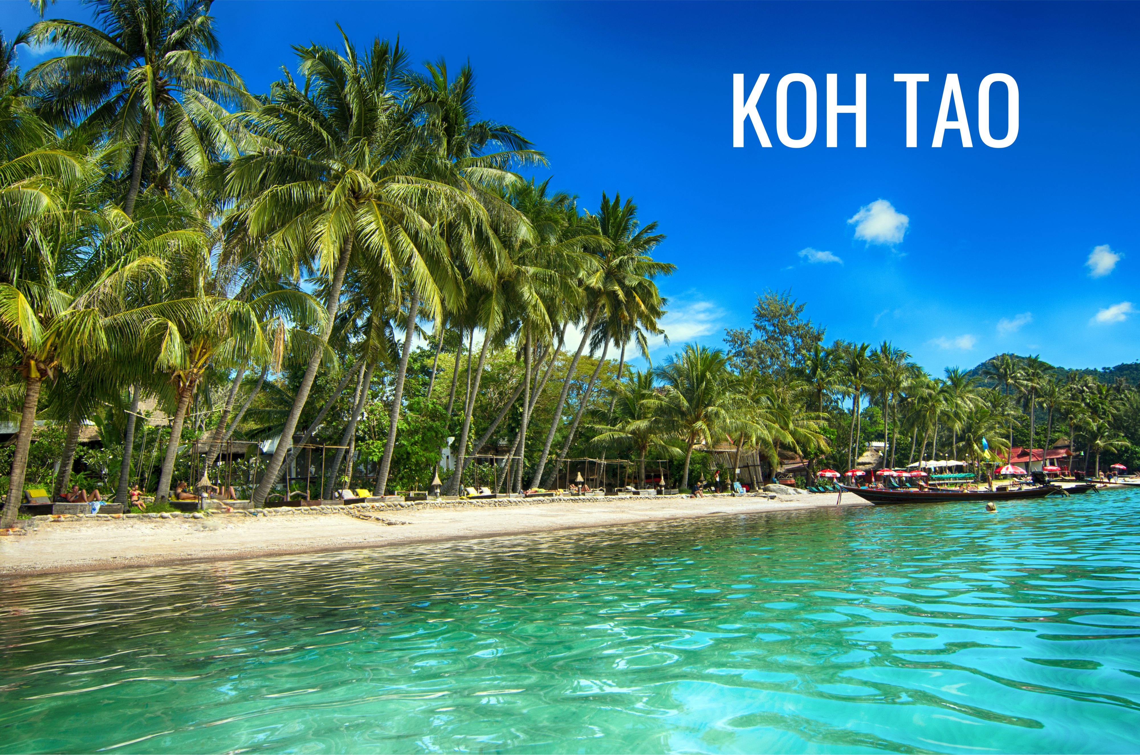 Urlaub in Thailand auf Koh Tao