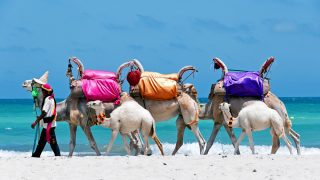 Djerba