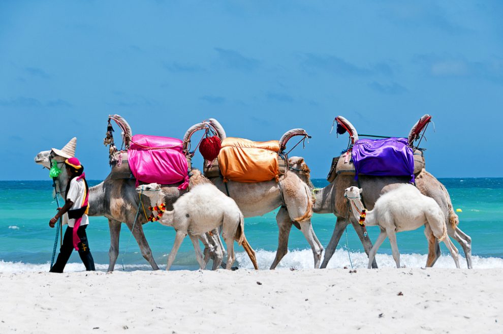 Djerba