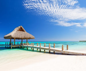 shutterstock_411057478 shutterstock_411057478