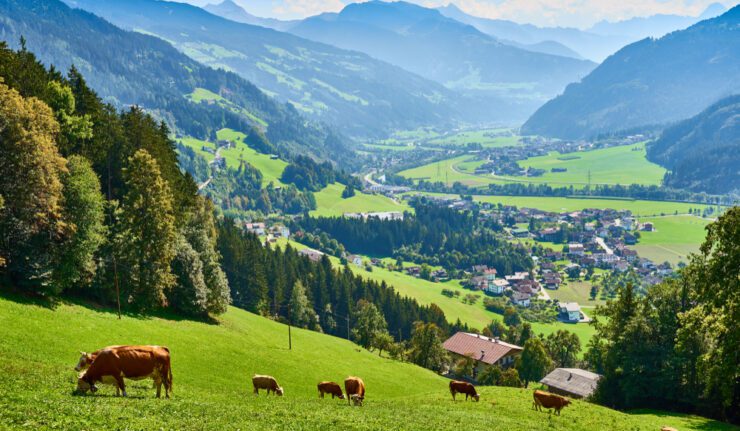Tiroler Wellness Angebot