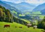 Tiroler Wellness Angebot