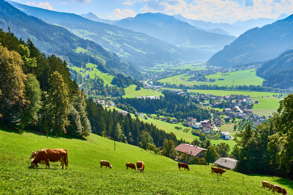 View,Over,Beautiful,Valley,"zillertal",In,Tirol,In,Austria