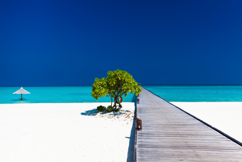 Beautiful,Beach,With,Wodden,Jetty,And,Single,Small,Tree,In