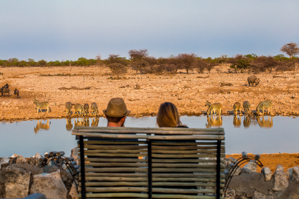Rear,View,Of,Young,Couple,Observing,Animals,In,African,Savanna,