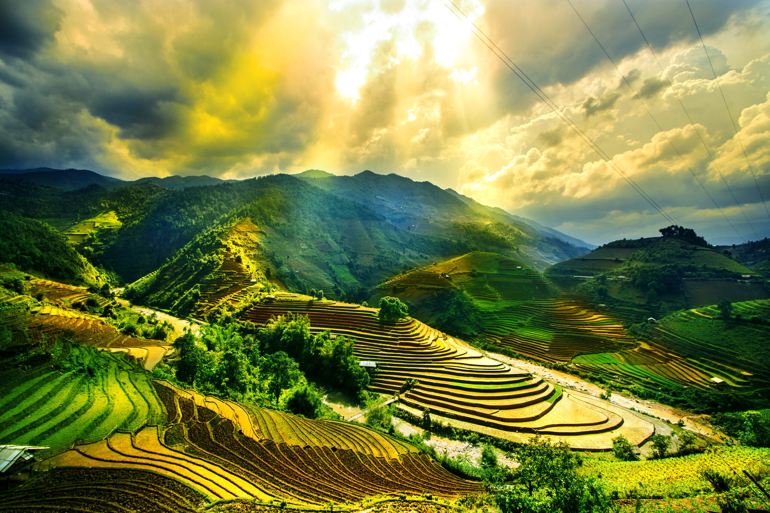 Water,On,Field,Terraced,Of,Mu,Cang,Chai,,Yenbai,,Vietnam.
