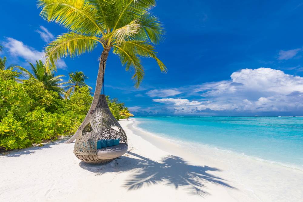 Tropical,Beach,Background,As,Summer,Landscape,With,Beach,Swing,Or