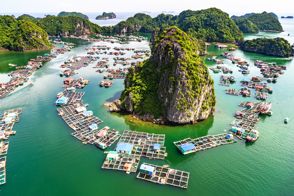 Floating,Fishing,Village,And,Rock,Island,In,",Lan,Ha