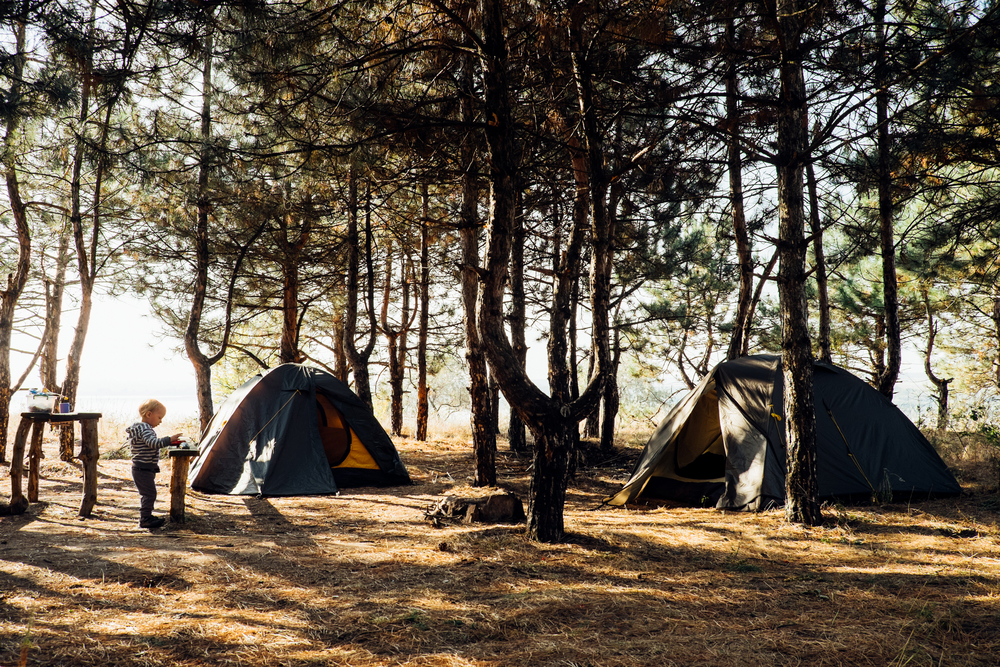 Child,Boy,Playing,At,Camping,Place,Near,Tourist,Tents.,Travel